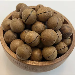 فندق ماکادمیا