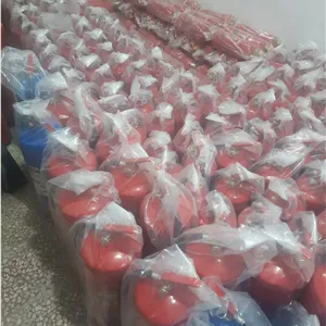 کپسول خاموش کننده پودر و گاز 12 کیلویی وارش