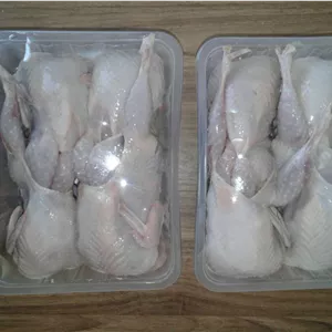 گوشت بلدرچین