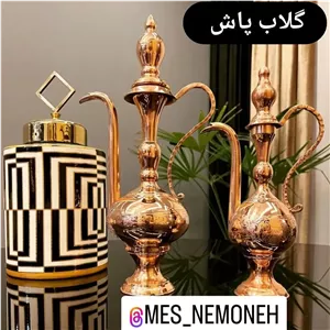 گلاب پاش سایز 2 ارتفاع 29 با نانو
