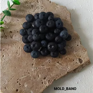 قالب بلوبری