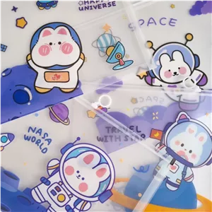 پوشه شفاف A4 طرح فانتزی Astronaut Bunny