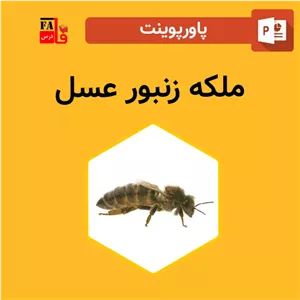 پاورپوینت ملکه زنبور عسل