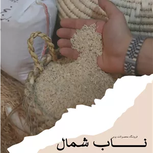 برنج قهوه ای درجه یک هاشمی گیلان | 2 کیلویی