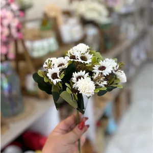 بوته گل مینا داوودی سفید وارداتی باکیفیت | قابل شستشو و مقاوم