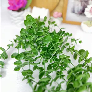 شمشاد سبز گره‌دار ۱۶ شاخه؛ جلوه‌ای طبیعی برای چیدمان آشپزخانه