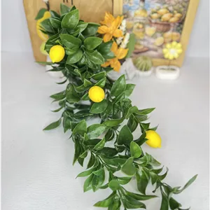 بوته لیمو سبز گره‌دار؛ شاخه دکوراتیو ۵ بازو برای آشپزخانه
