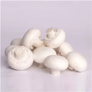 قارچ فله 500 گرمی