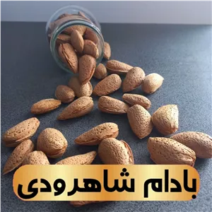 بادام درختی ایرانی شاهرودی (دوپوسته) پرمغز و آجیلی