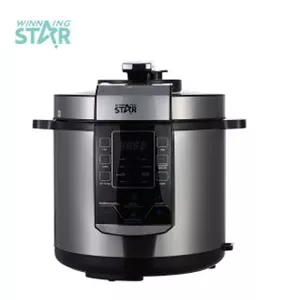 زودپز چندكاره وینینگ استار مدل ST-9303