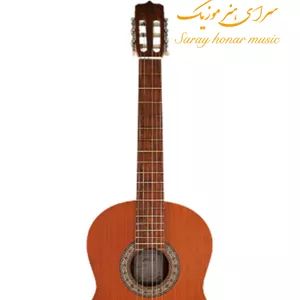 گیتار پارسی P40