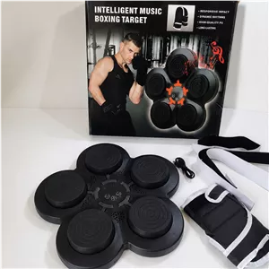 پنل بوکس هوشمند موزیکال | Intelligent Music Boxing Target