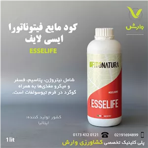 کود مایع گوگرد ایسی لایف فیتوناتورا ایتالیا یک لیتری