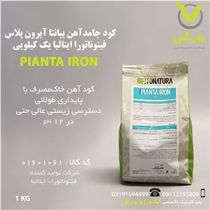 کود جامد آهن پیانتا آیرون پلاس فیتوناتورا ایتالیا یک کیلویی