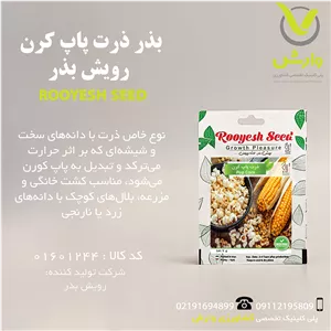 بذر ذرت پاپ کرن رویش بذر