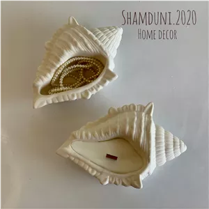 شات شمع  صدف بزرگ