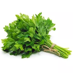بذر سبزی جعفری 8 گرم