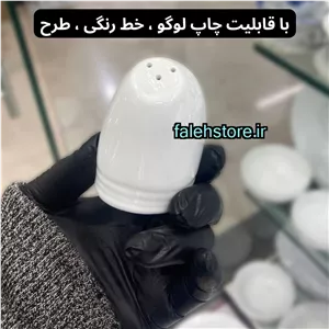 نمکدان چینی سفید زرین طرح هتلی 1 عددی