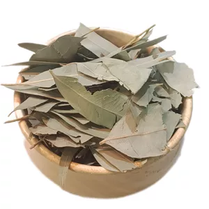 برگ اکالیپتوس