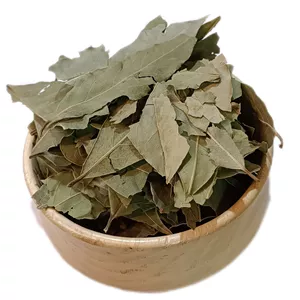 برگ بو
