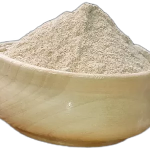 پودر پیاز