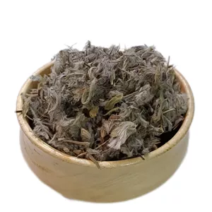 چای کوهی