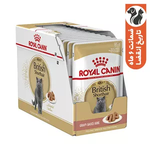 پوچ گربه رویال کنین مدل British بسته 12 عددی