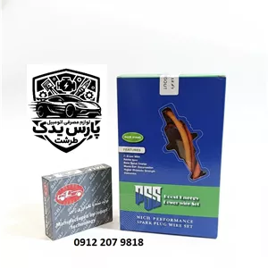 پک شمع و وایر تقویتی (شمع دالف 6962 وایر پژو 405 و سمند و پارس TU5) زیمنس تقویتی