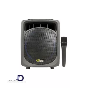 اکو همراه برین صوت مدل 12200 به همراه میکروفن بیسیم