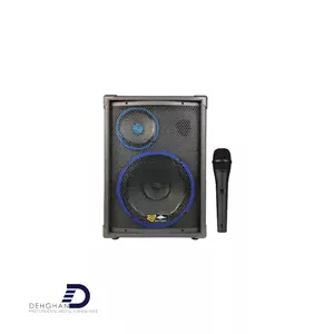 اکو همراه برین صوت مدل 12250 به همراه میکروفن بیسیم