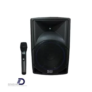 اکو همراه 12 اینچ شارژی تکنو ساند بیسیم PTR4 P12 WIR