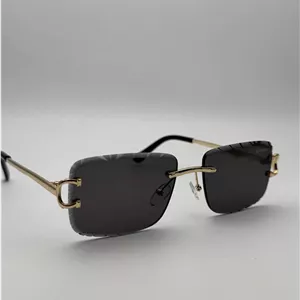 عینک مستر فریم لس کارتیر کد ۸۱۰۱ Cartier