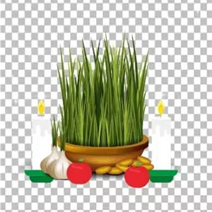 دانلود وکتور سبزه نوروز