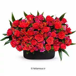 باکس گل رز ایرانی و آلسترومریا قرمز مدل آمور