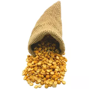 لپه درشت خارجی روس