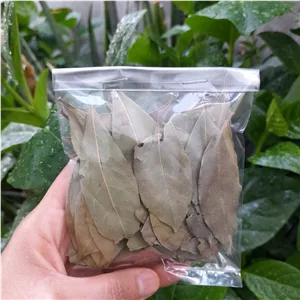 برگ بو 10 گرمی