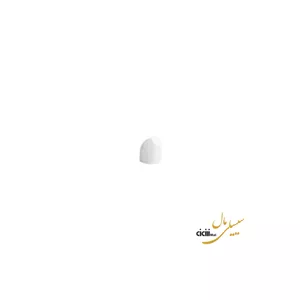 فلفل پاش هتلی چینی زرین ایران