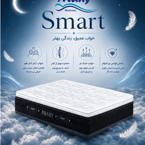 تشک مانی اسمارت (Smart )