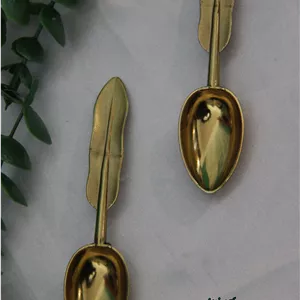 قاشق ادویه طرح پر رنگ طلایی