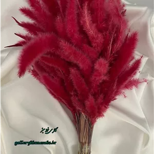 دسته گل خشک دم روباهی رنگ سرخابی