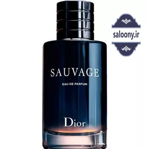 ادکلن ساواج دیورSauvage مردانه (وارداتی) 100 میل