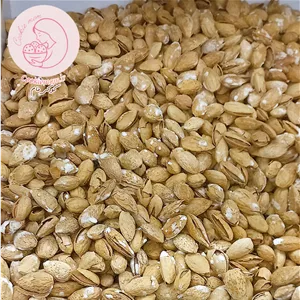 بادام درختی شور منقا پوست کاغذی درجه ۱ زرین