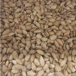 بادام درختی خام منقا پوست کاغذی درجه ۱ زرین
