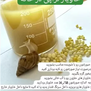 خاویار و حلزون تراپی ۲۰۰ عددی 
