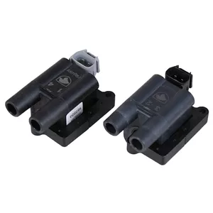 کویل زیمنس 405 کروز (بدون براکت)