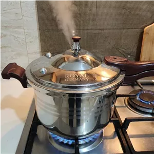 زودپز دسته دار 7 لیتری رویال استیل ضدزنگ