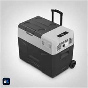 یخچال مسافرتی ۴۰ لیتری آلپیکول (Alpicool) مدل EX4C0 | کمپرسور LG