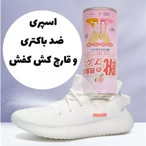 اسپری ضد بو و ضد باکتری و قارچ کفش
