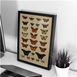 تابلو و فریم Butterfly