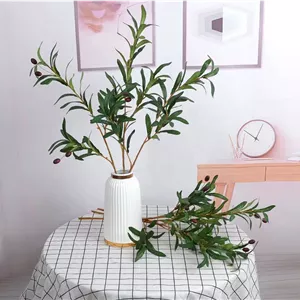 شاخه میوه زیتون